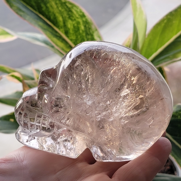 Smokey Crystal Quartz Skull - Picture 3 of 5